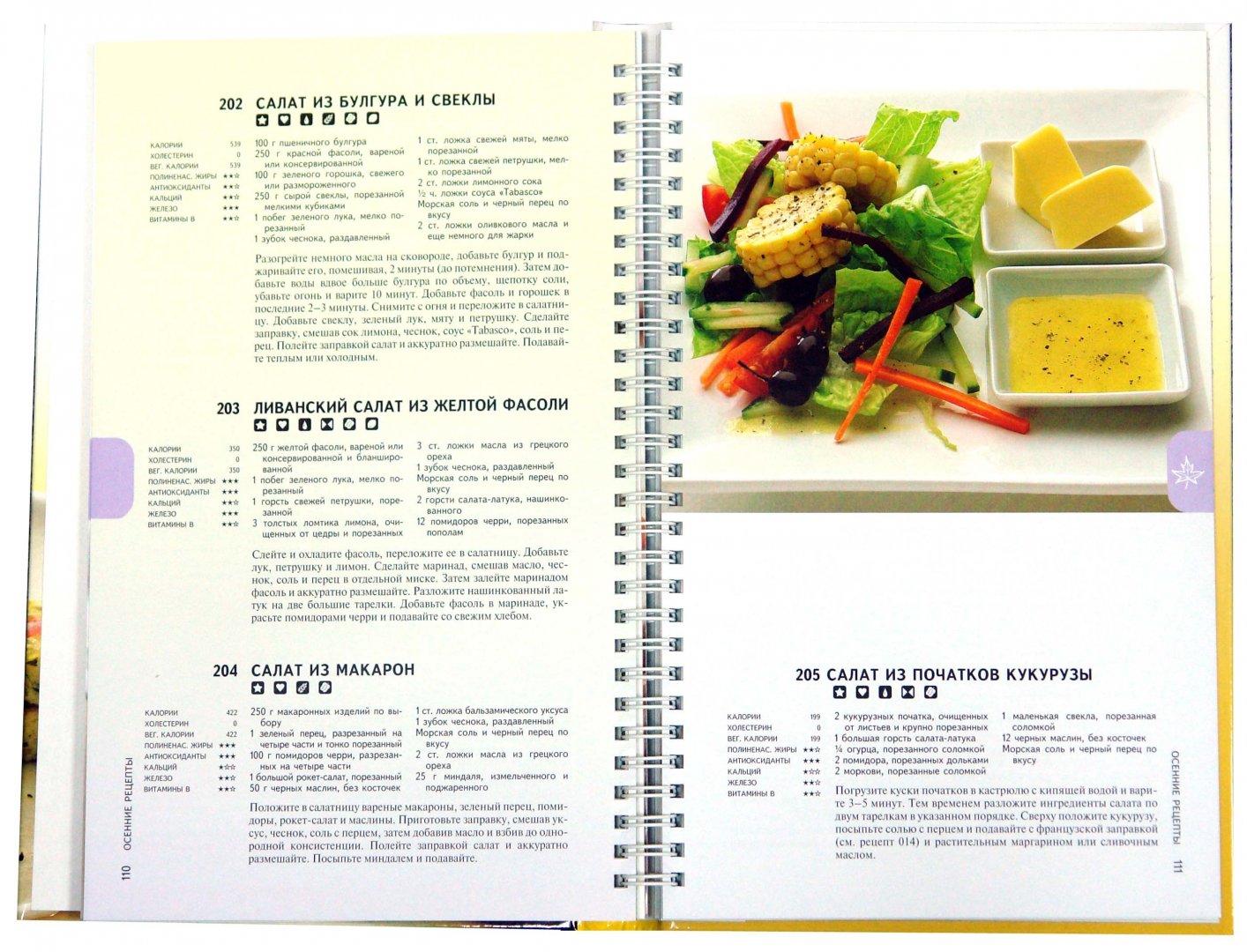 Иллюстрация 1 из 2 для Большая книга быстрых и здоровых рецептов: 365 вкусных и полезных блюд за 30 минут - Кирстен Хартвиг | Лабиринт - книги. Источник: Лабиринт