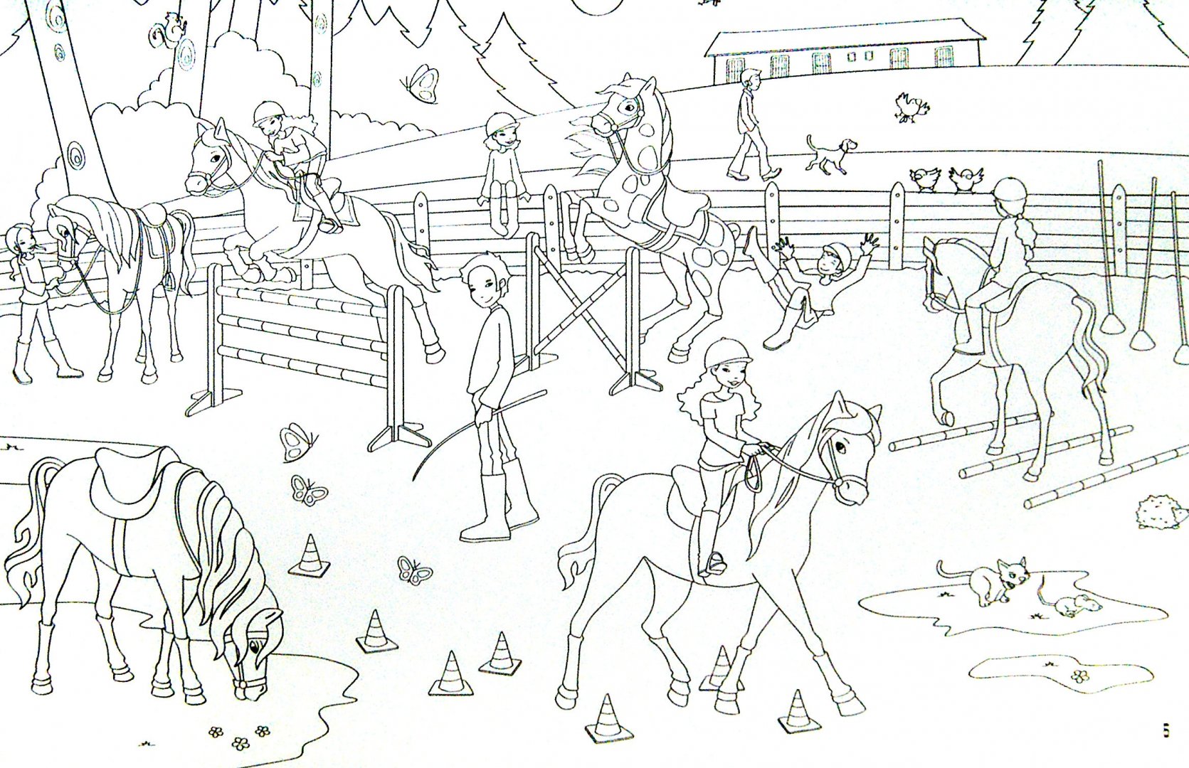 Иллюстрация 1 из 19 для Лошади | Лабиринт - книги. Источник: Лабиринт