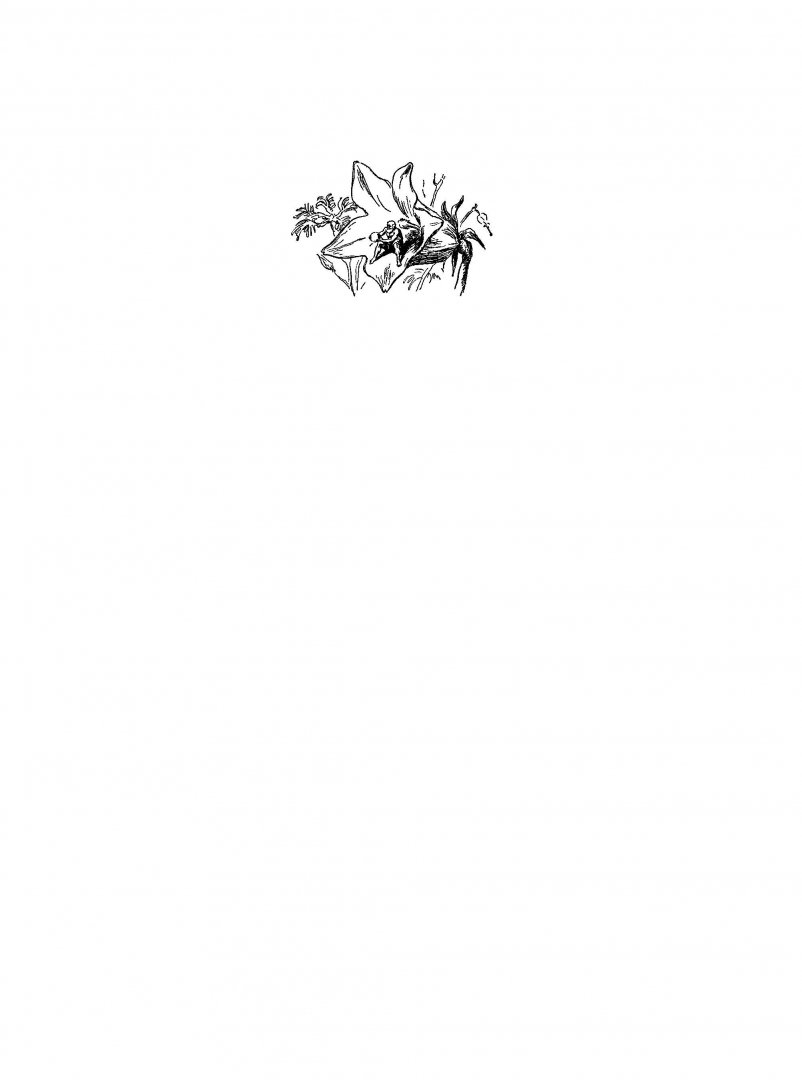 Иллюстрация 3 из 42 для Необыкновенные приключения Карика и Вали - Ян Ларри | Лабиринт - книги. Источник: Лабиринт