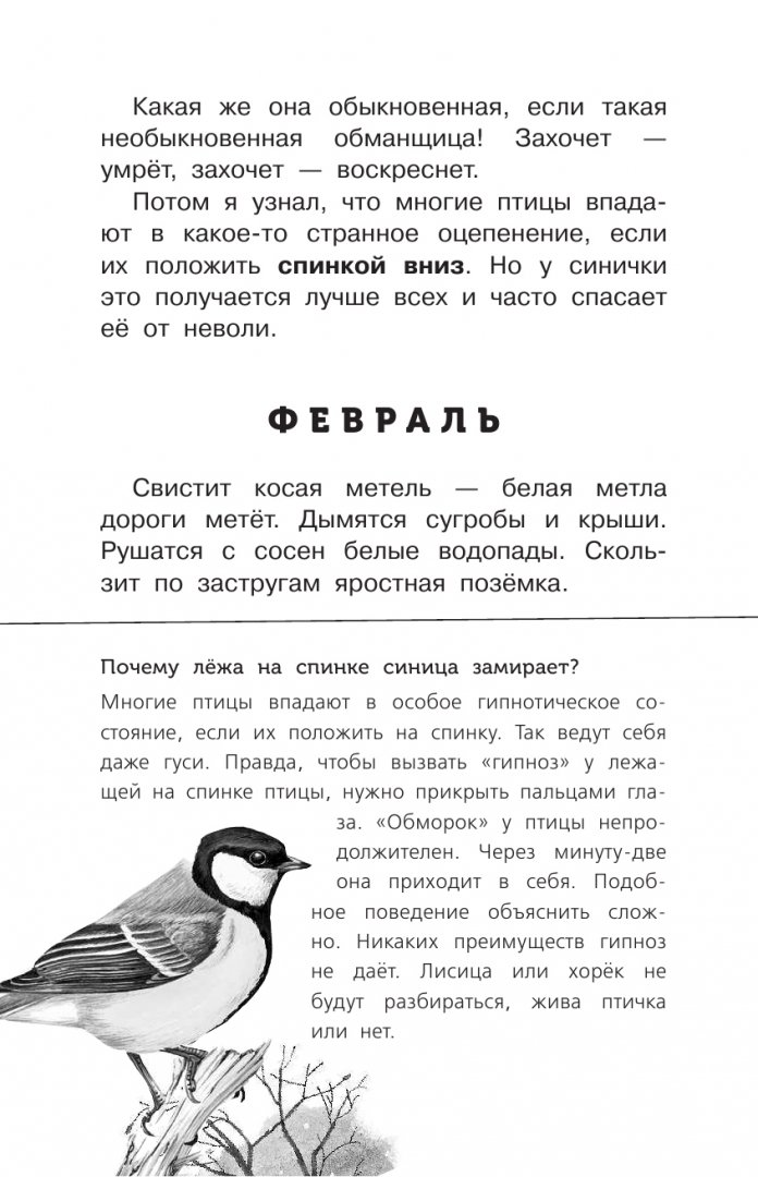 Иллюстрация 9 из 24 для Лесные тайнички - Николай Сладков | Лабиринт - книги. Источник: Лабиринт