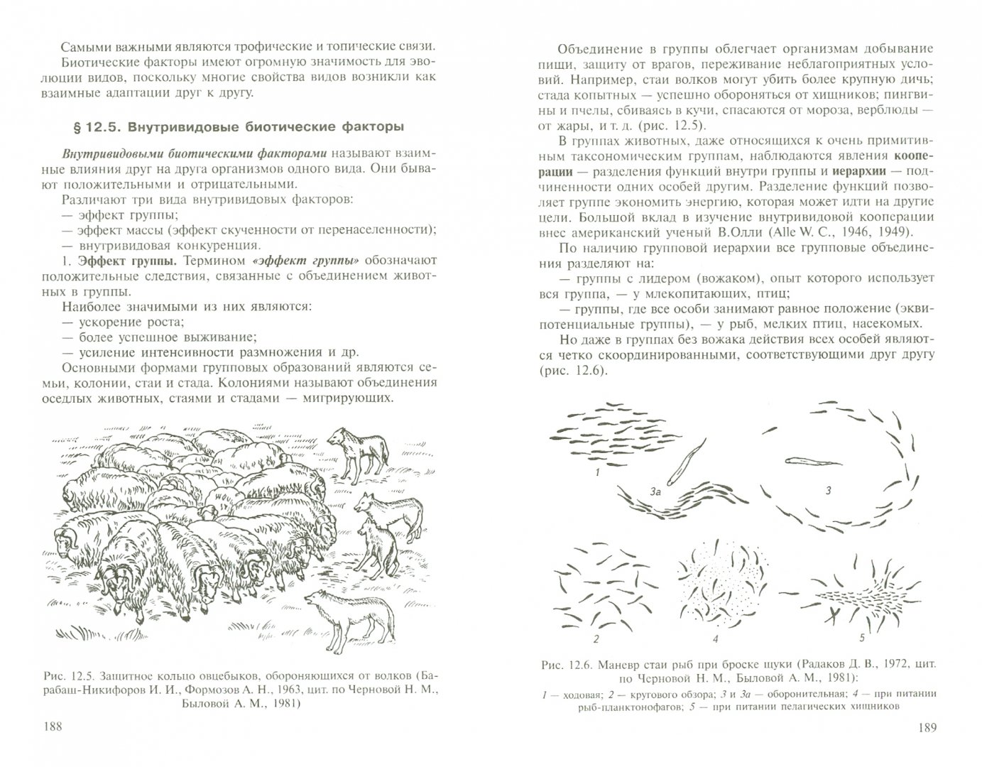 Иллюстрация 1 из 16 для Основы экологии - Чебышев, Филиппова | Лабиринт - книги. Источник: Лабиринт