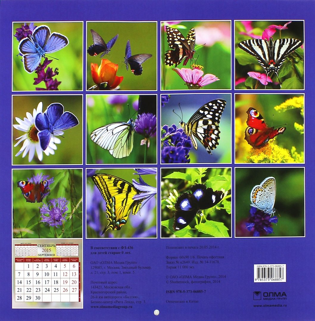 Иллюстрация 1 из 15 для Календарь 2015. Бабочки (12 листов) | Лабиринт - сувениры. Источник: Лабиринт