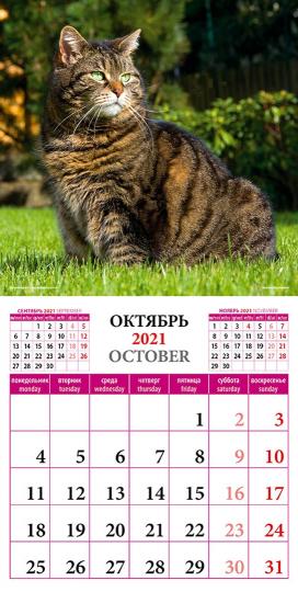 Календарь на 2021 год Кошки мира (70104) купить | Лабиринт