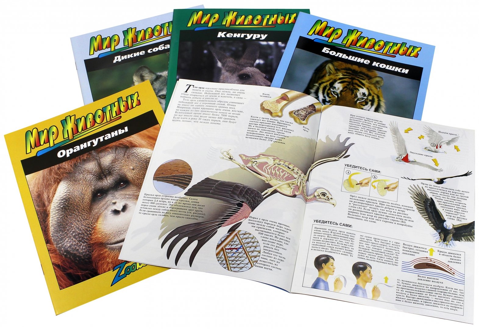Иллюстрация 2 из 96 для Мир животных (17 книг в боксе) | Лабиринт - книги. Источник: Лабиринт