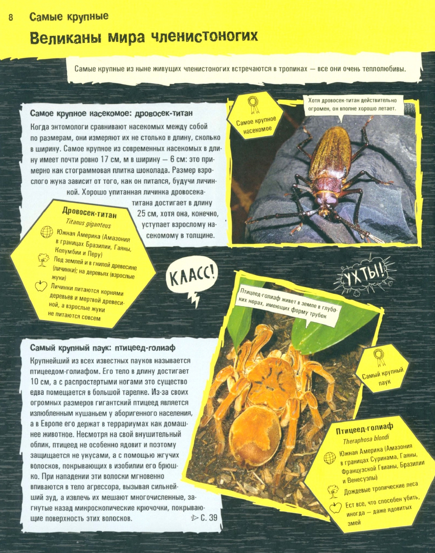 Иллюстрация 1 из 35 для Прекрасные и опасные. Насекомые, пауки, скорпионы - Лауманн, Шмитт | Лабиринт - книги. Источник: Лабиринт