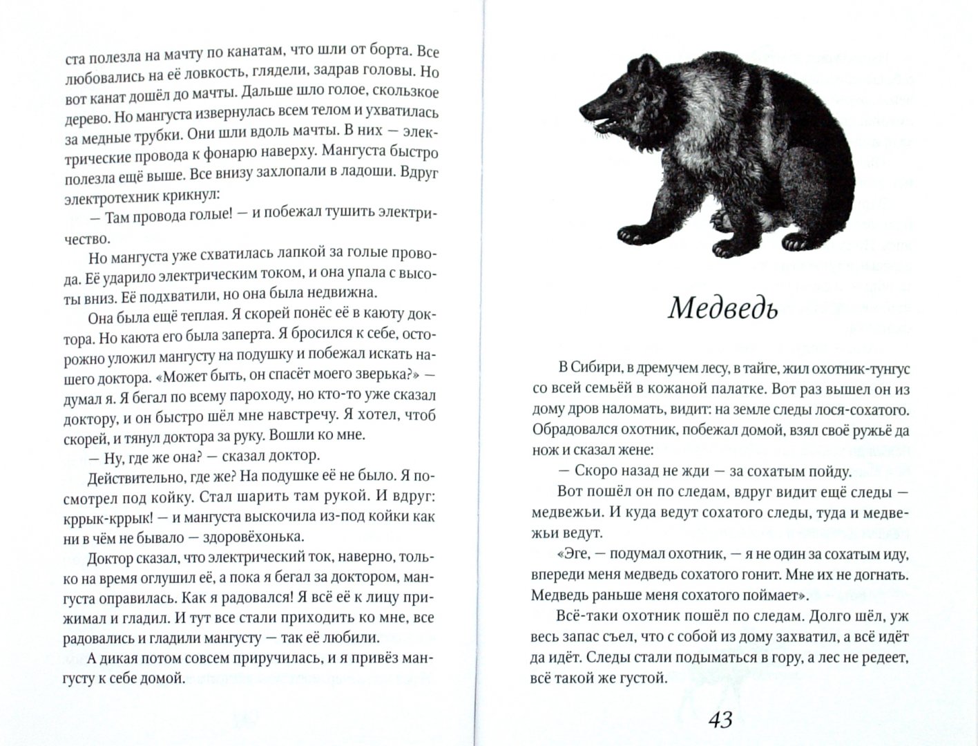 Иллюстрация 1 из 16 для Беспризорная кошка - Борис Житков | Лабиринт - книги. Источник: Лабиринт