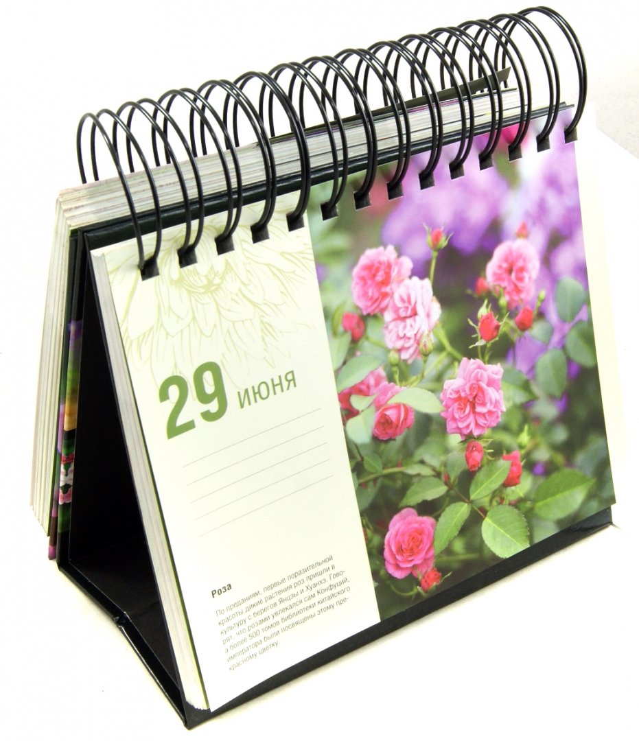Иллюстрация 1 из 9 для Прекрасные цветы. Шедевры природы на каждый день. Календарь универсальный - Фомина, Лацис | Лабиринт - сувениры. Источник: Лабиринт