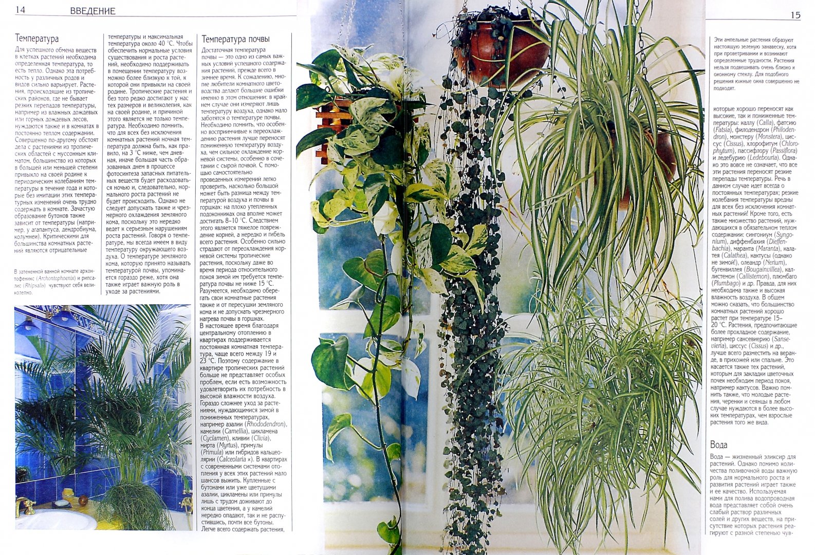 Иллюстрация 1 из 4 для Все о комнатных растениях | Лабиринт - книги. Источник: Лабиринт