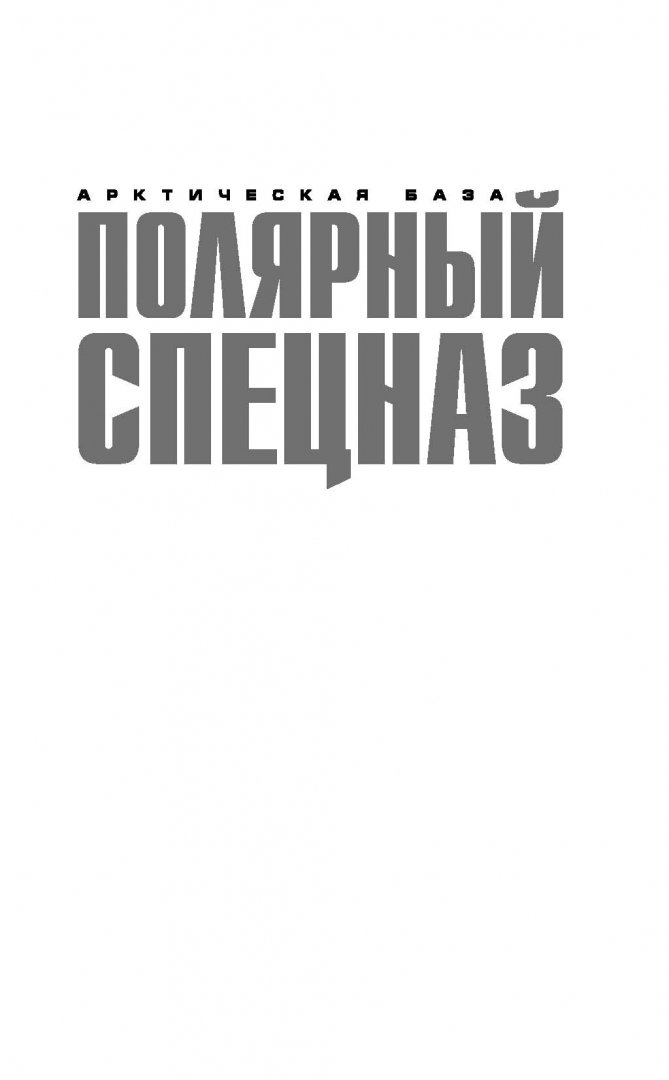 Иллюстрация 1 из 22 для Ледяной бронежилет - Сергей Зверев | Лабиринт - книги. Источник: Лабиринт
