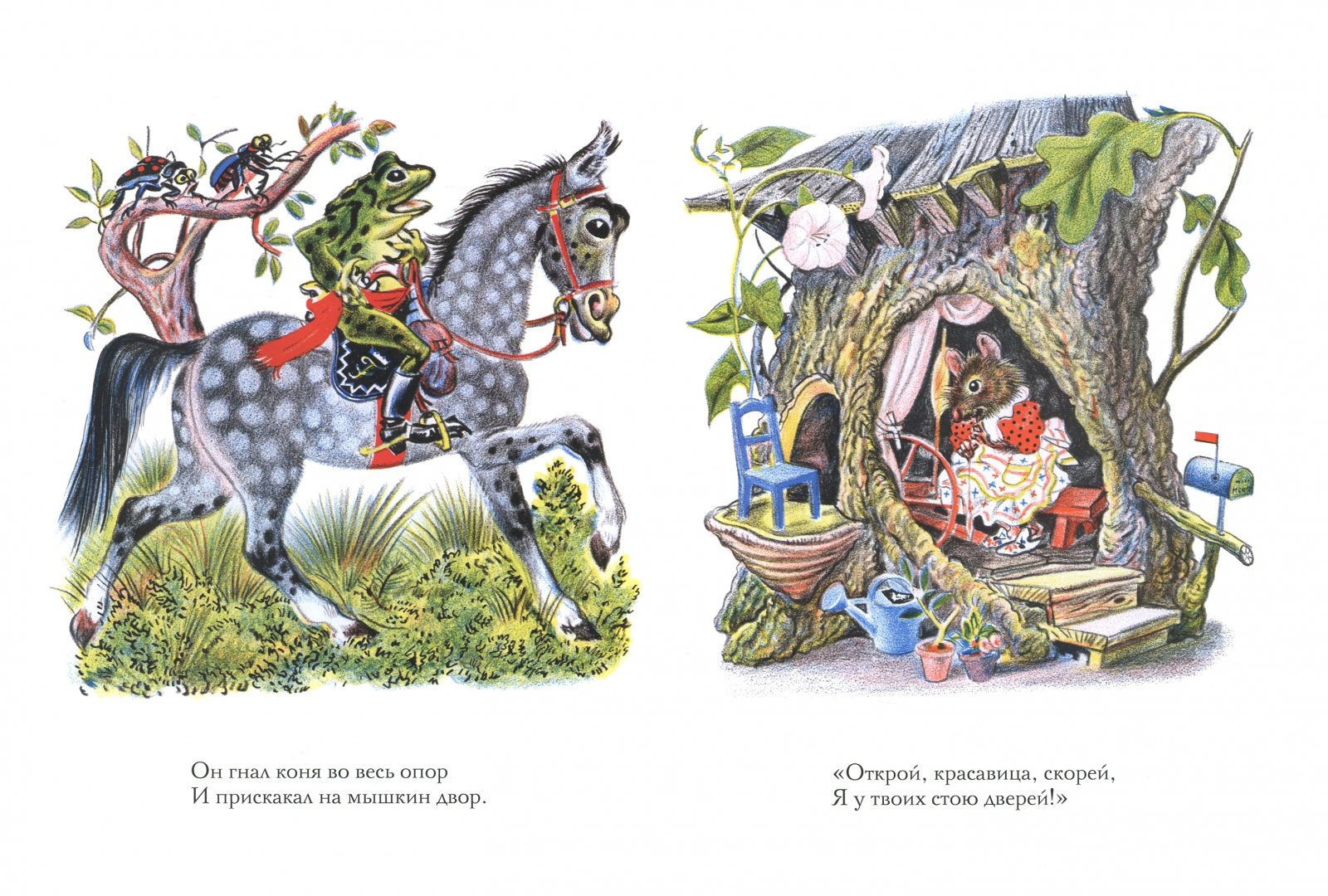 Иллюстрация 4 из 46 для Лягушонок женится - Джон Лангстафф | Лабиринт - книги. Источник: Лабиринт