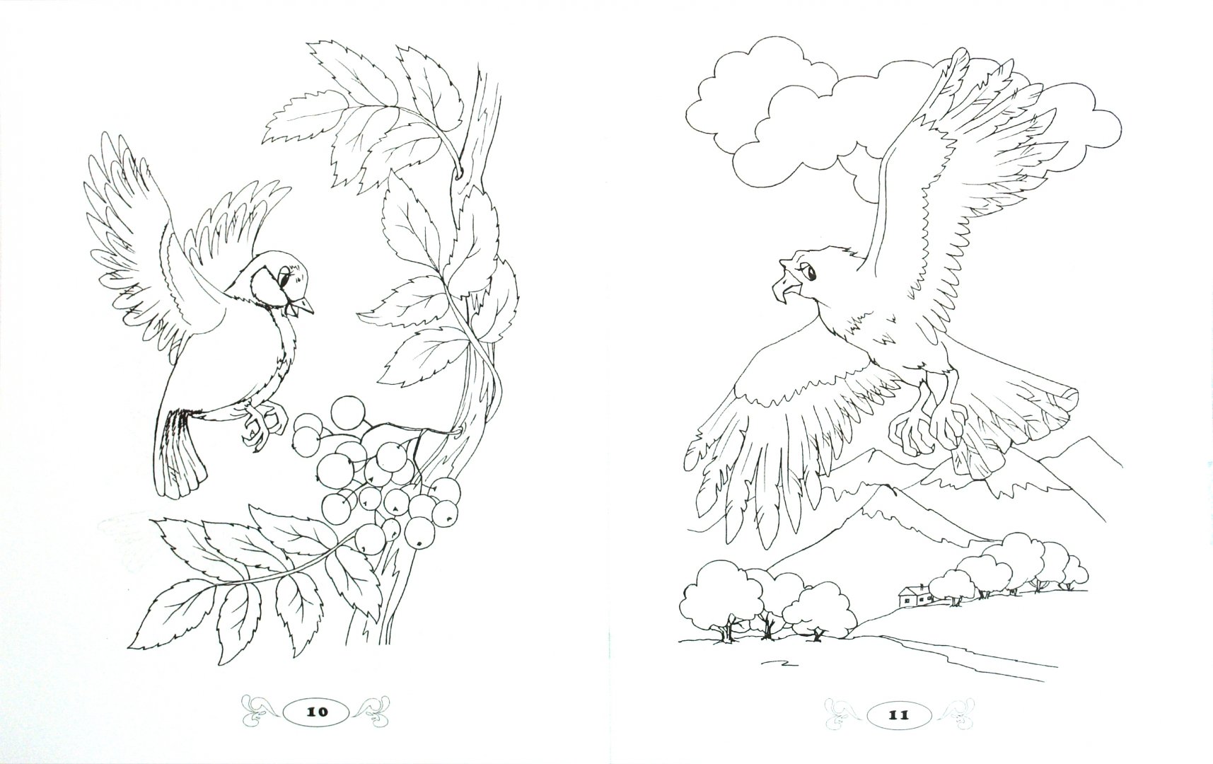 Иллюстрация 1 из 4 для Кто летает всех быстрее: раскраска | Лабиринт - книги. Источник: Лабиринт