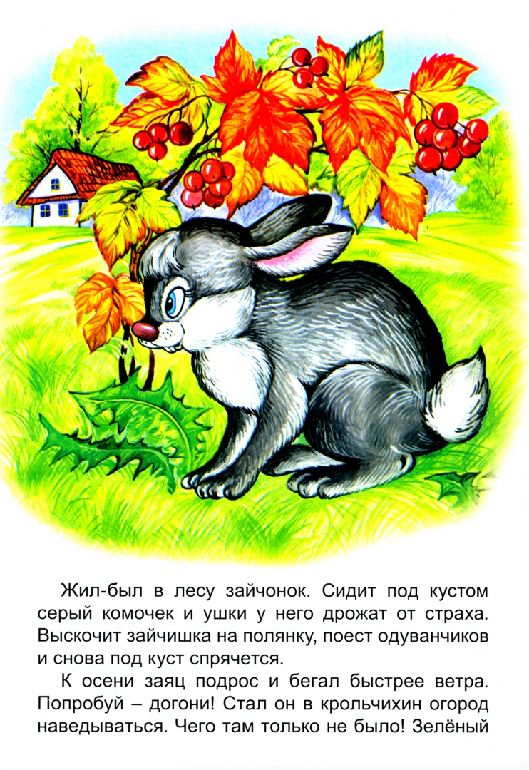 Иллюстрация 1 из 6 для Заяц-почтальон - Надежда Притулина | Лабиринт - книги. Источник: Лабиринт
