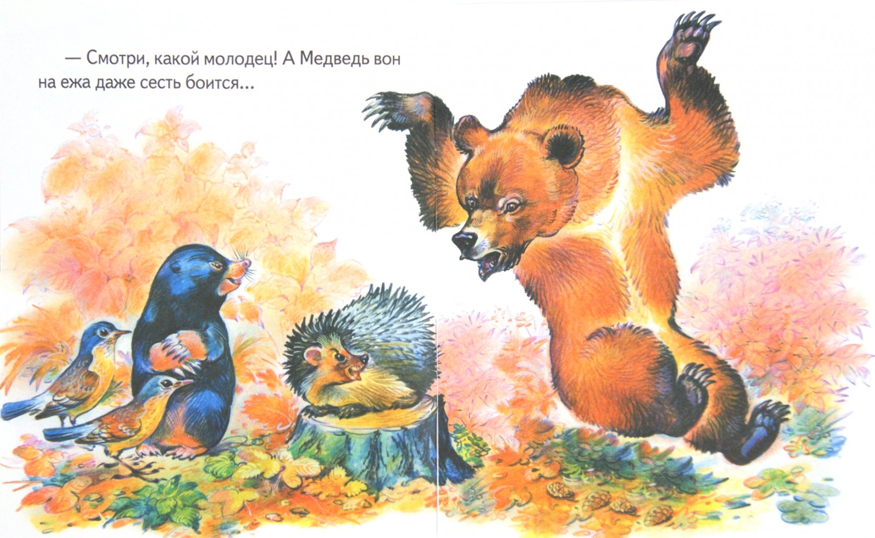 Иллюстрация 1 из 7 для Лесные сказки - Николай Сладков | Лабиринт - книги. Источник: Лабиринт