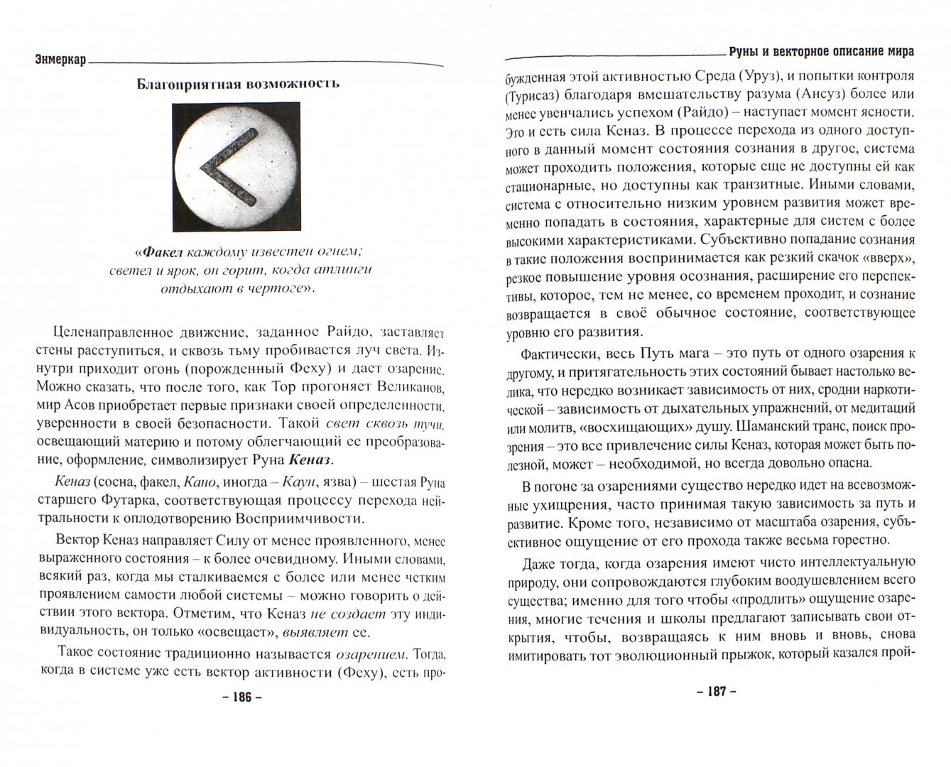 Иллюстрация 1 из 14 для Руны и векторное описание мира - Энмеркар | Лабиринт - книги. Источник: Лабиринт