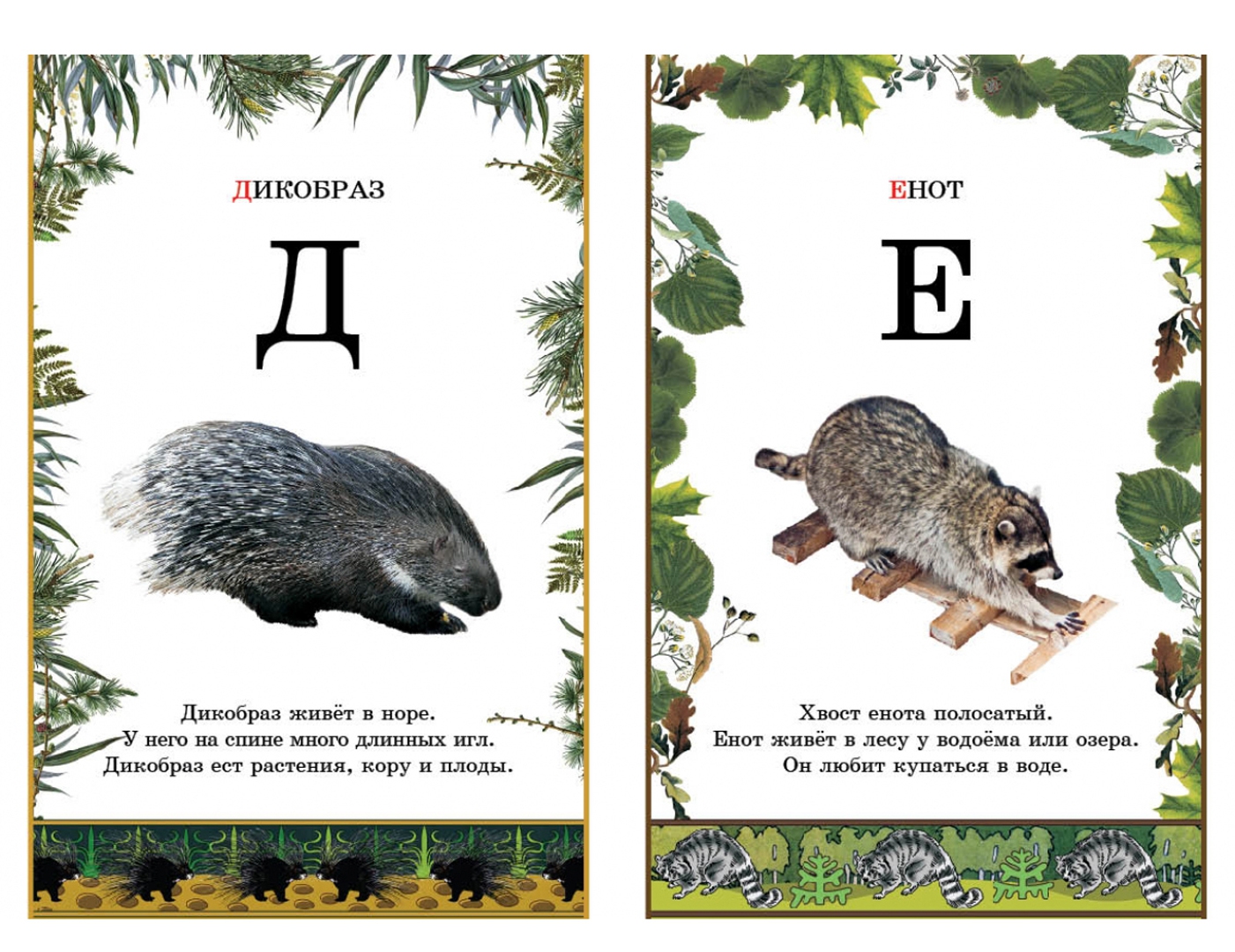 Иллюстрация 2 из 34 для Иллюстрированная азбука животного мира | Лабиринт - книги. Источник: Лабиринт