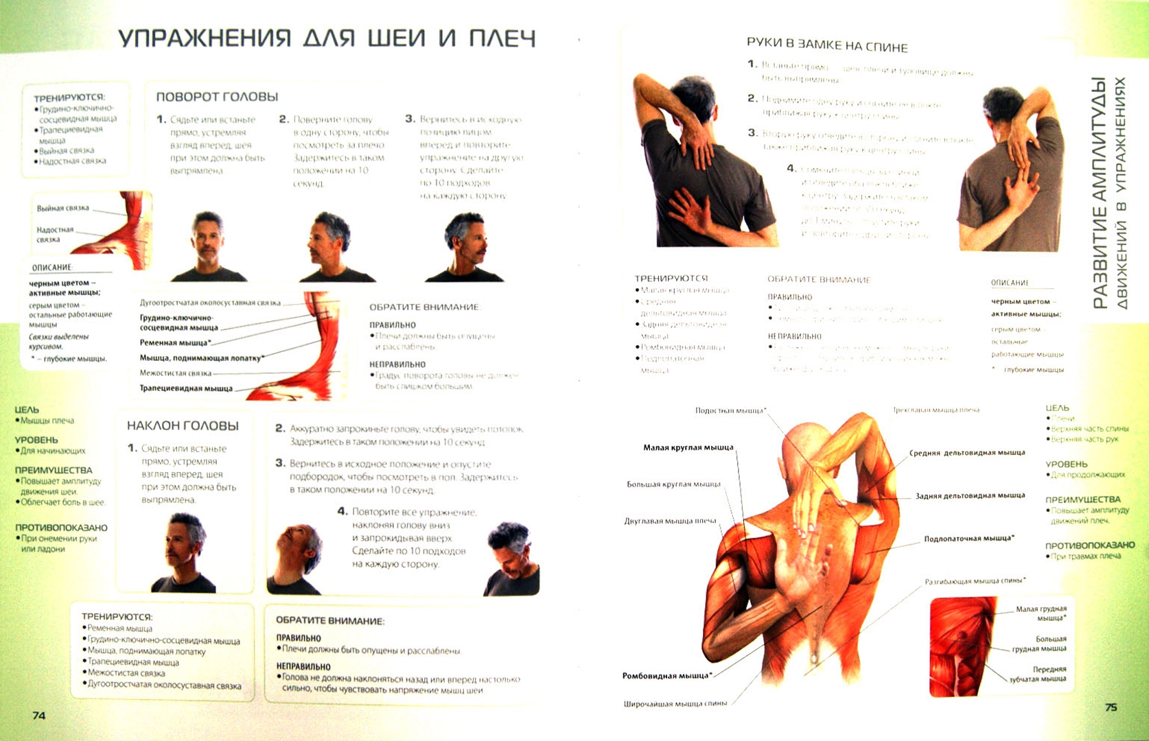 Видео упражнения для позвоночника шее. Упражнения для шеи. Упражнения для спины и шеи. Лечебно-физкультурный комплекс упражнений для шеи. Лечебные упражнения для спины и шеи.