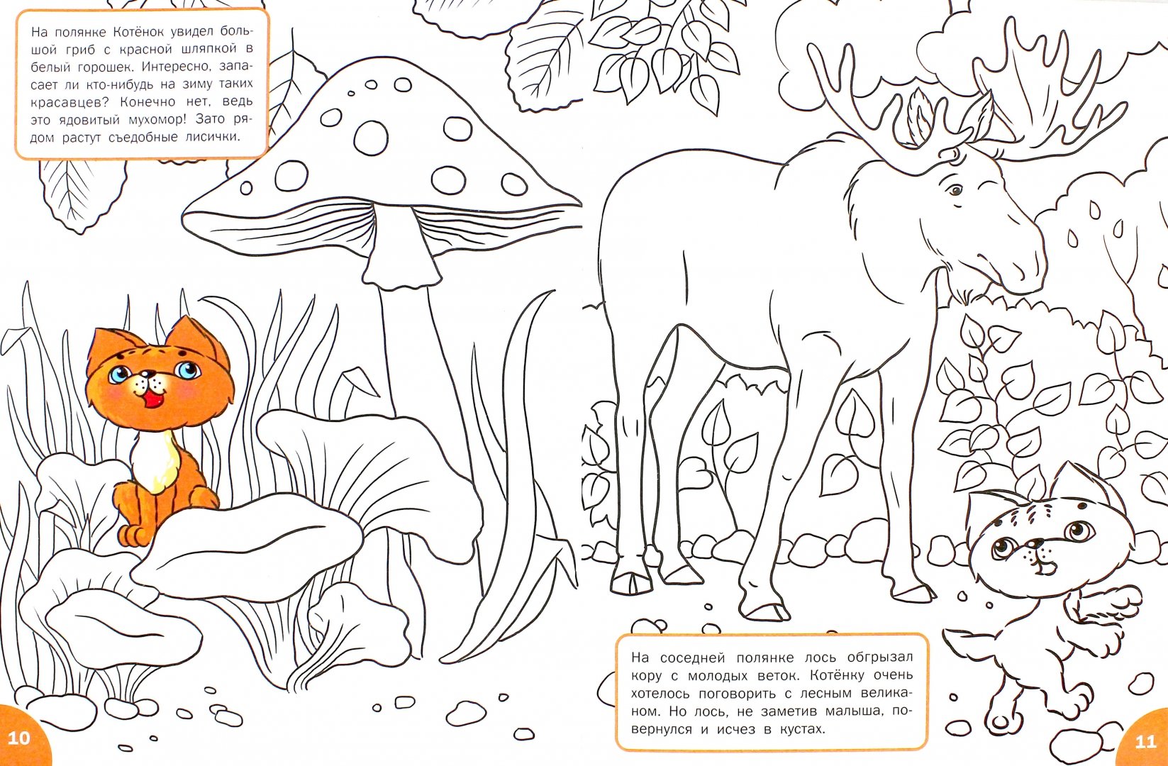Иллюстрация 1 из 9 для Знакомимся с лесными жителями. Развивающие раскраски для детей 4-5 лет - Вениамин Мёдов | Лабиринт - книги. Источник: Лабиринт