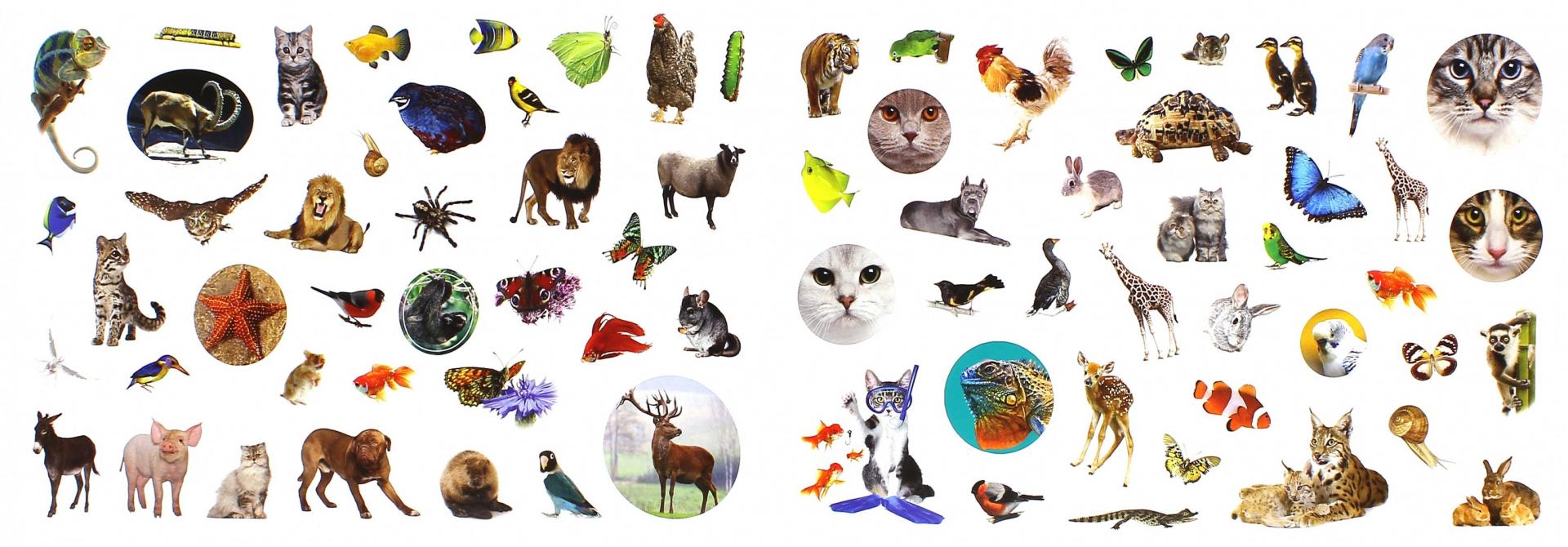 Иллюстрация 1 из 22 для 400 наклеек. Животные | Лабиринт - книги. Источник: Лабиринт