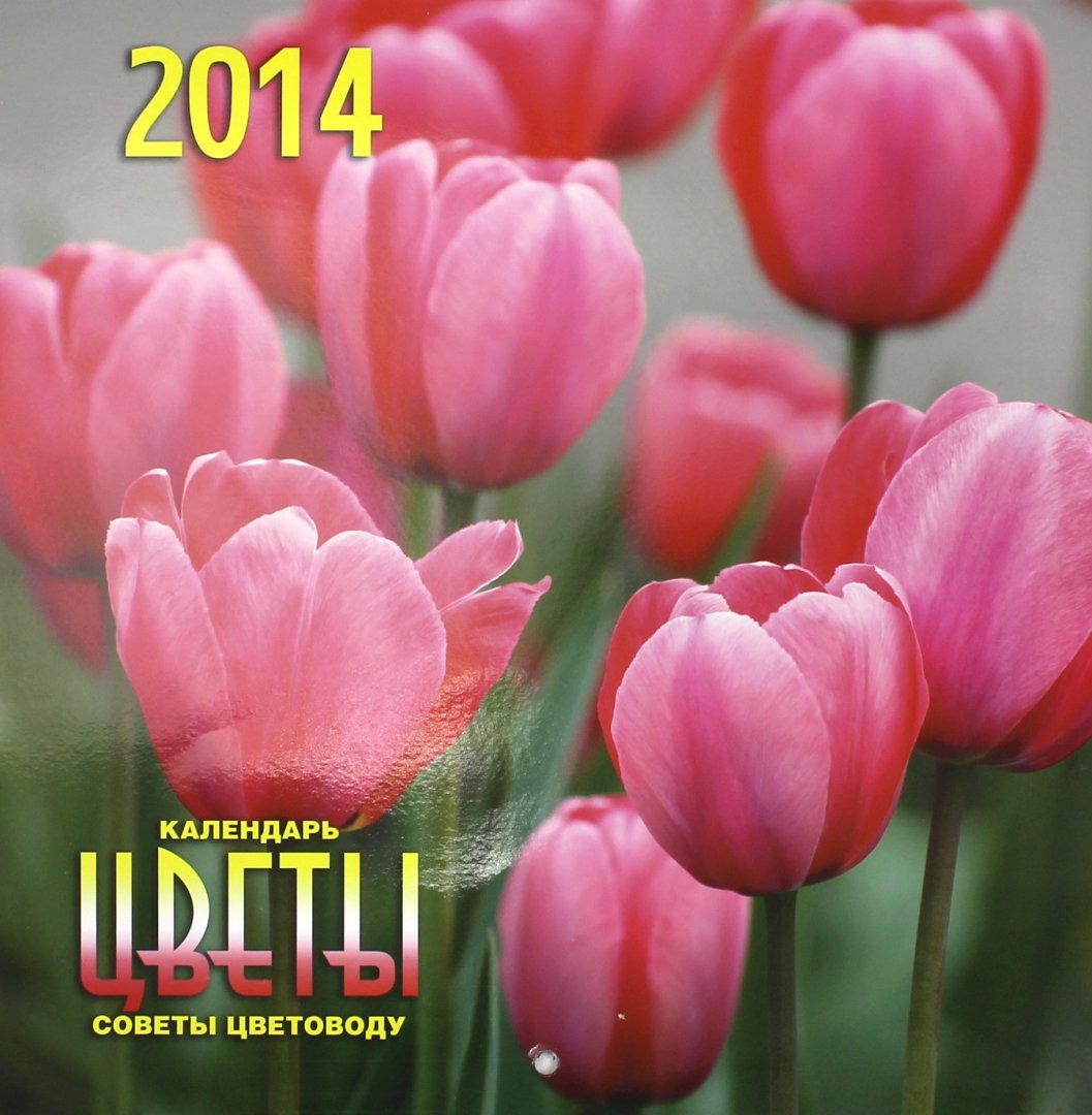 Иллюстрация 1 из 17 для Календарь на 2014 год "Цветы. Советы цветоводу" (А3-112-142) | Лабиринт - сувениры. Источник: Лабиринт