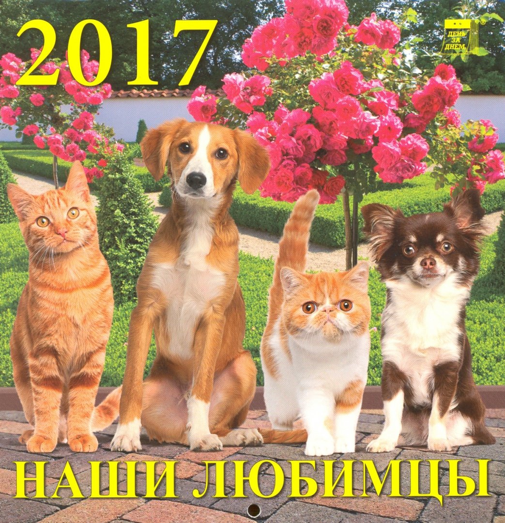 Иллюстрация 1 из 9 для Календарь на 2017 год "Наши любимцы" (30706) | Лабиринт - сувениры. Источник: Лабиринт