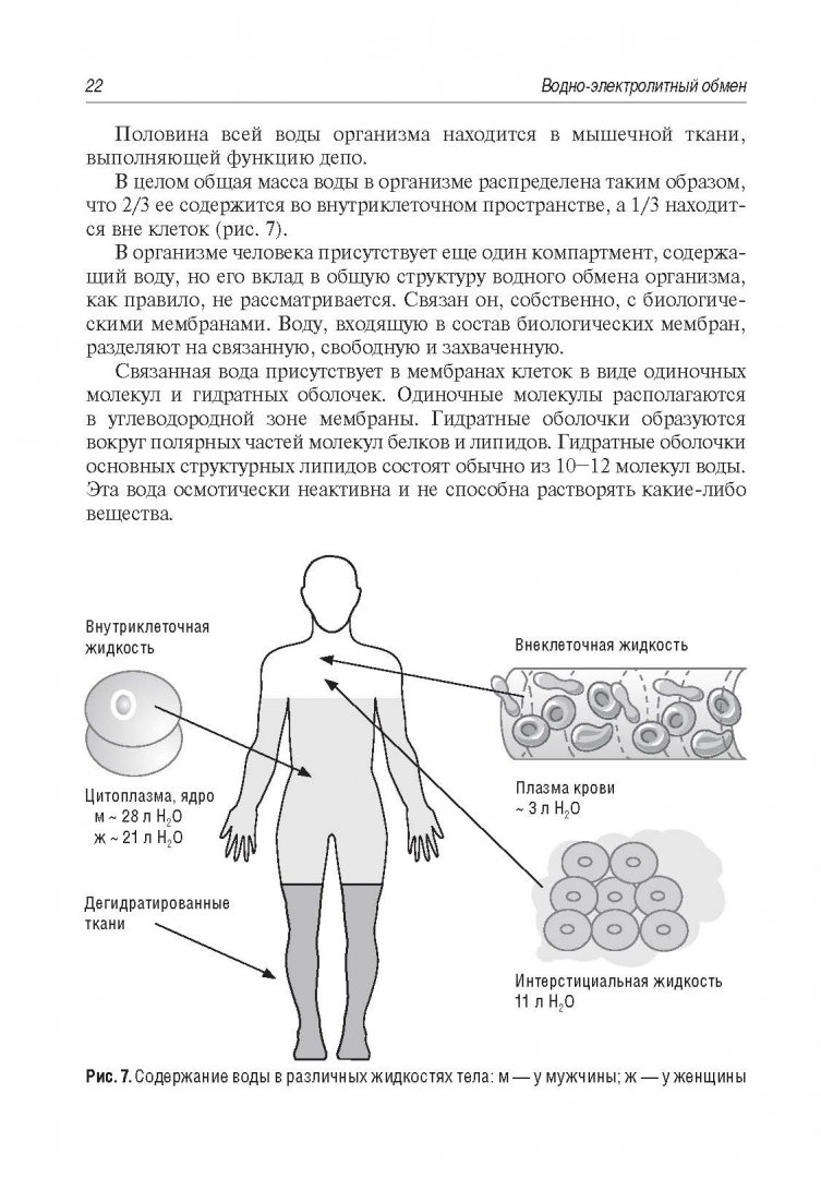 Иллюстрация 11 из 17 для Водно-электролитный обмен и его нарушения. Руководство для врачей - Карпищенко, Антонов, Жерегеля, Минаева | Лабиринт - книги. Источник: Лабиринт