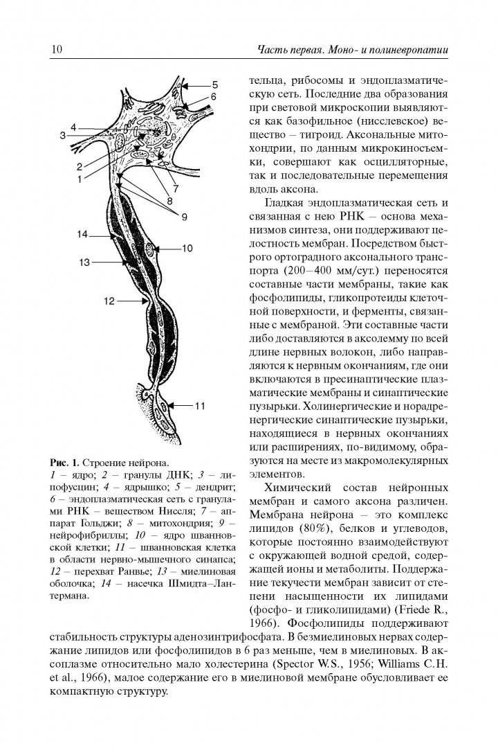 Иллюстрация 2 из 21 для Болезни периферической нервной системы. Руководство для врачей - Яков Попелянский | Лабиринт - книги. Источник: Лабиринт