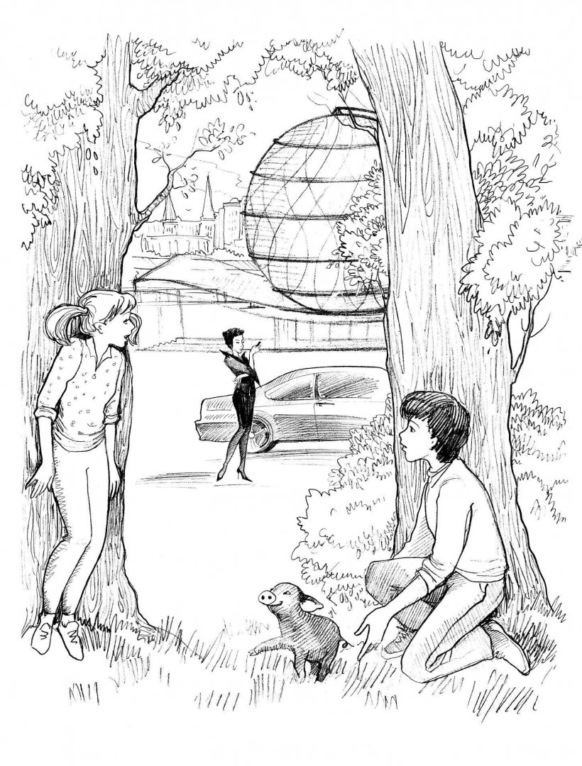 Иллюстрация 5 из 21 для Волшебник с пятачком - Владимир Сотников | Лабиринт - книги. Источник: Лабиринт