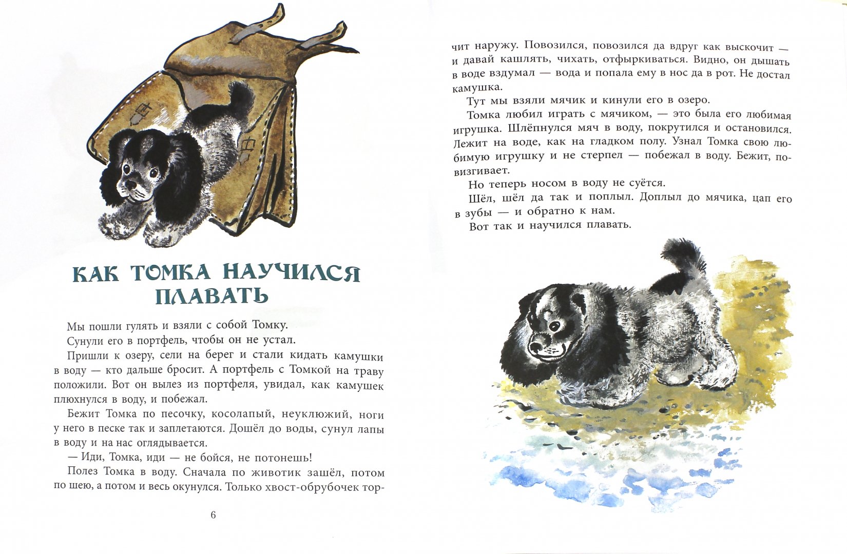 Иллюстрация 1 из 42 для Томкины сны - Евгений Чарушин | Лабиринт - книги. Источник: Лабиринт