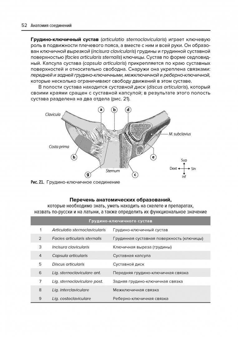 Иллюстрация 4 из 19 для Анатомия соединений - Валентин Козлов | Лабиринт - книги. Источник: Лабиринт