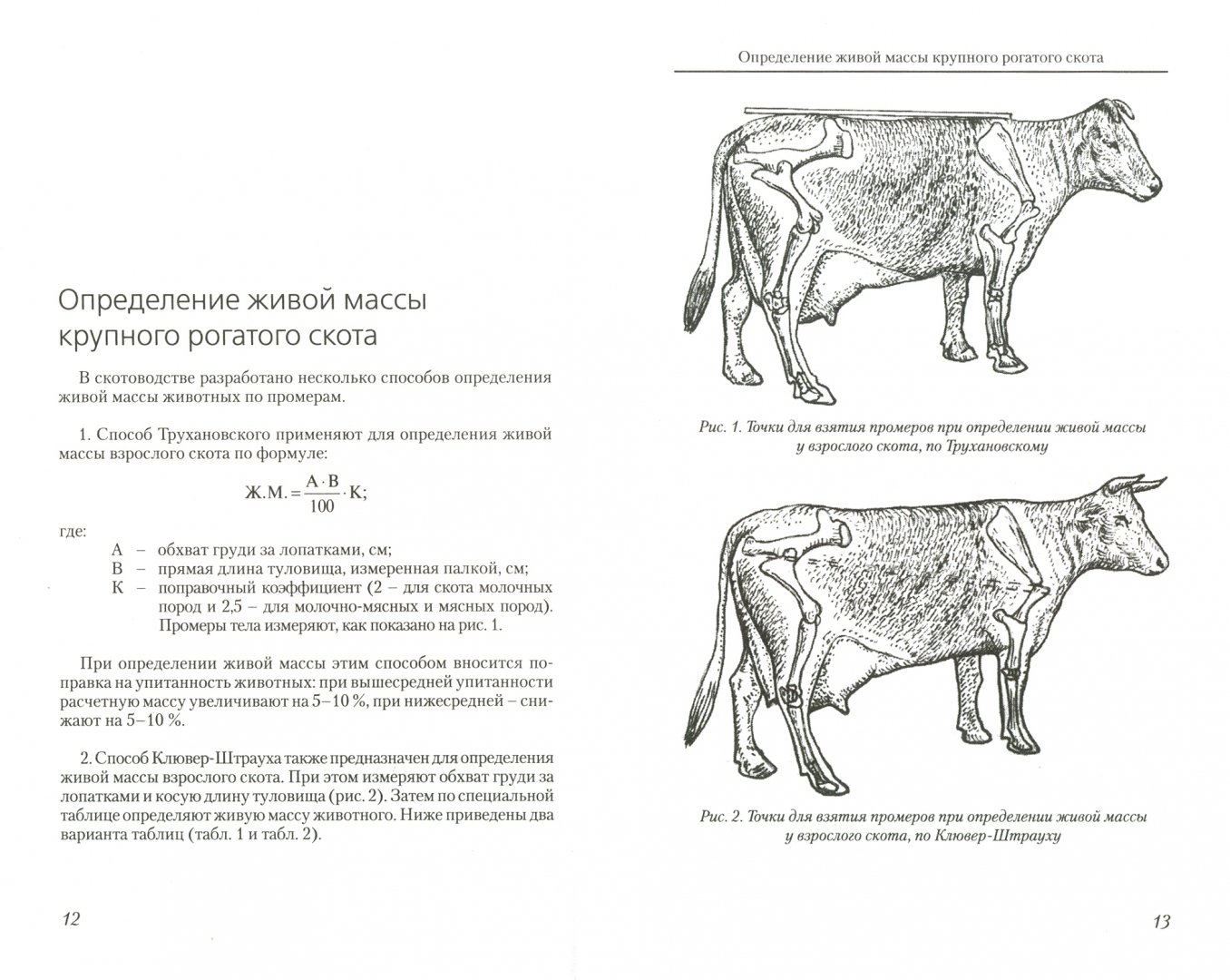 Иллюстрация 1 из 6 для Определение живой массы сельскохозяйственных животных по промерам - Егор Лебедько | Лабиринт - книги. Источник: Лабиринт