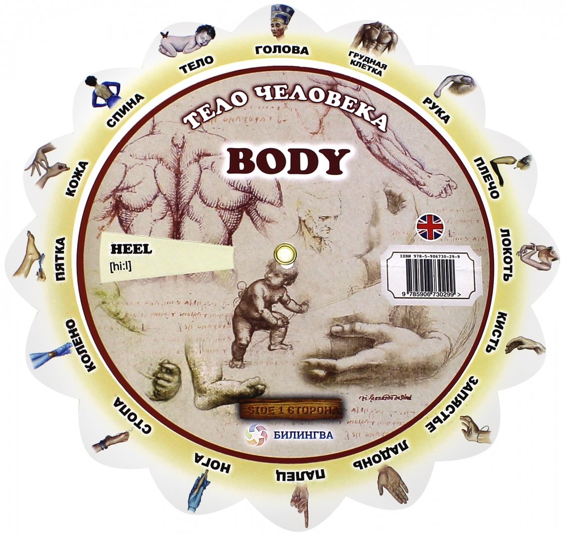 Иллюстрация 1 из 8 для Иллюстрированный тематический словарь "Body" (Тело человека) | Лабиринт - книги. Источник: Лабиринт
