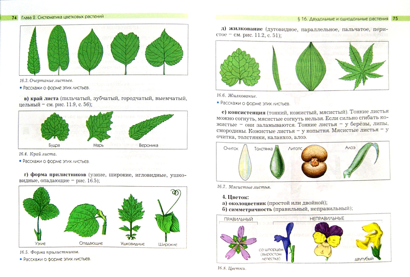 Иллюстрация 1 из 4 для Биология. Они растут, цветут и пахнут. 6 класс. Учебник. ФГОС - Ловягин, Вахрушев, Раутиан | Лабиринт - книги. Источник: Лабиринт