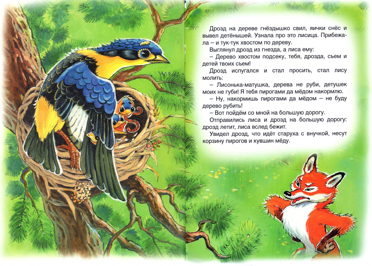 Иллюстрация 1 из 22 для Лиса и дрозд | Лабиринт - книги. Источник: Лабиринт