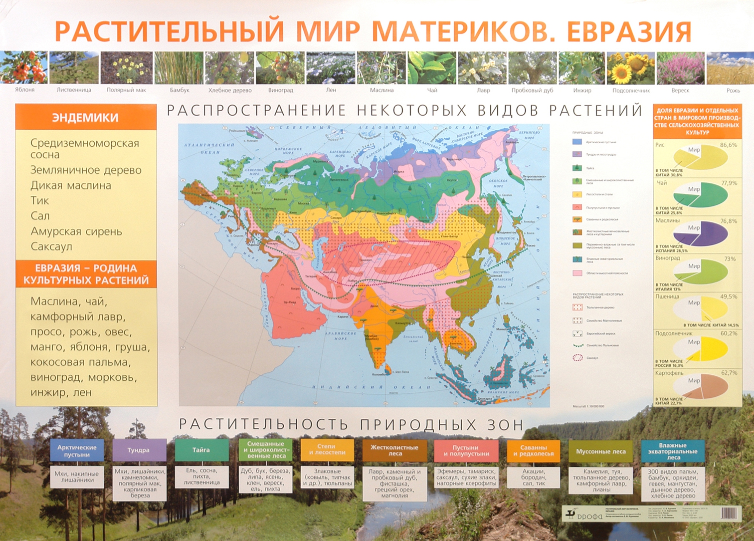 География природные зоны евразии. Растительный мир Евразии 7 класс география. Материк Евразия растительный мир. Растительный мир материков.