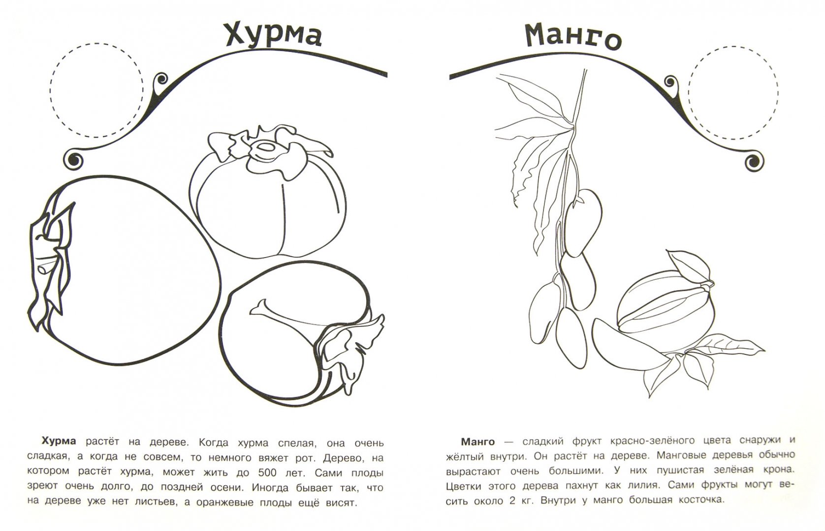 Иллюстрация 1 из 5 для Где растут фрукты? | Лабиринт - книги. Источник: Лабиринт