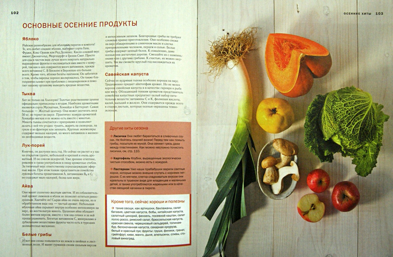 Иллюстрация 1 из 7 для Домашняя кухня на любой вкус. Меню на каждое время года - Боденштейнер, Киттлер, Шмедес | Лабиринт - книги. Источник: Лабиринт