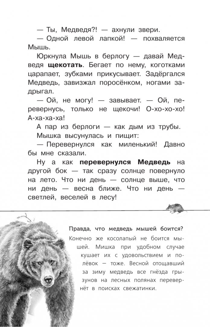 Иллюстрация 8 из 24 для Лесные тайнички - Николай Сладков | Лабиринт - книги. Источник: Лабиринт