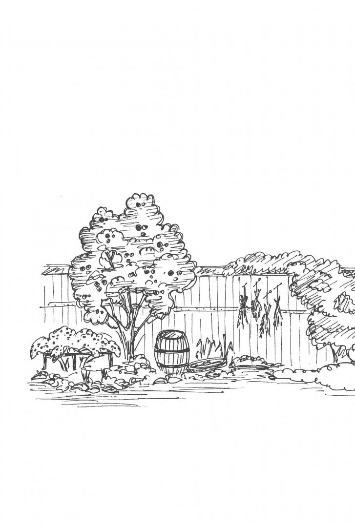 Иллюстрация 1 из 8 для Дизайн сада за 10 шагов. Правила проектирования садов любого размера - Александр Сапелин | Лабиринт - книги. Источник: Лабиринт