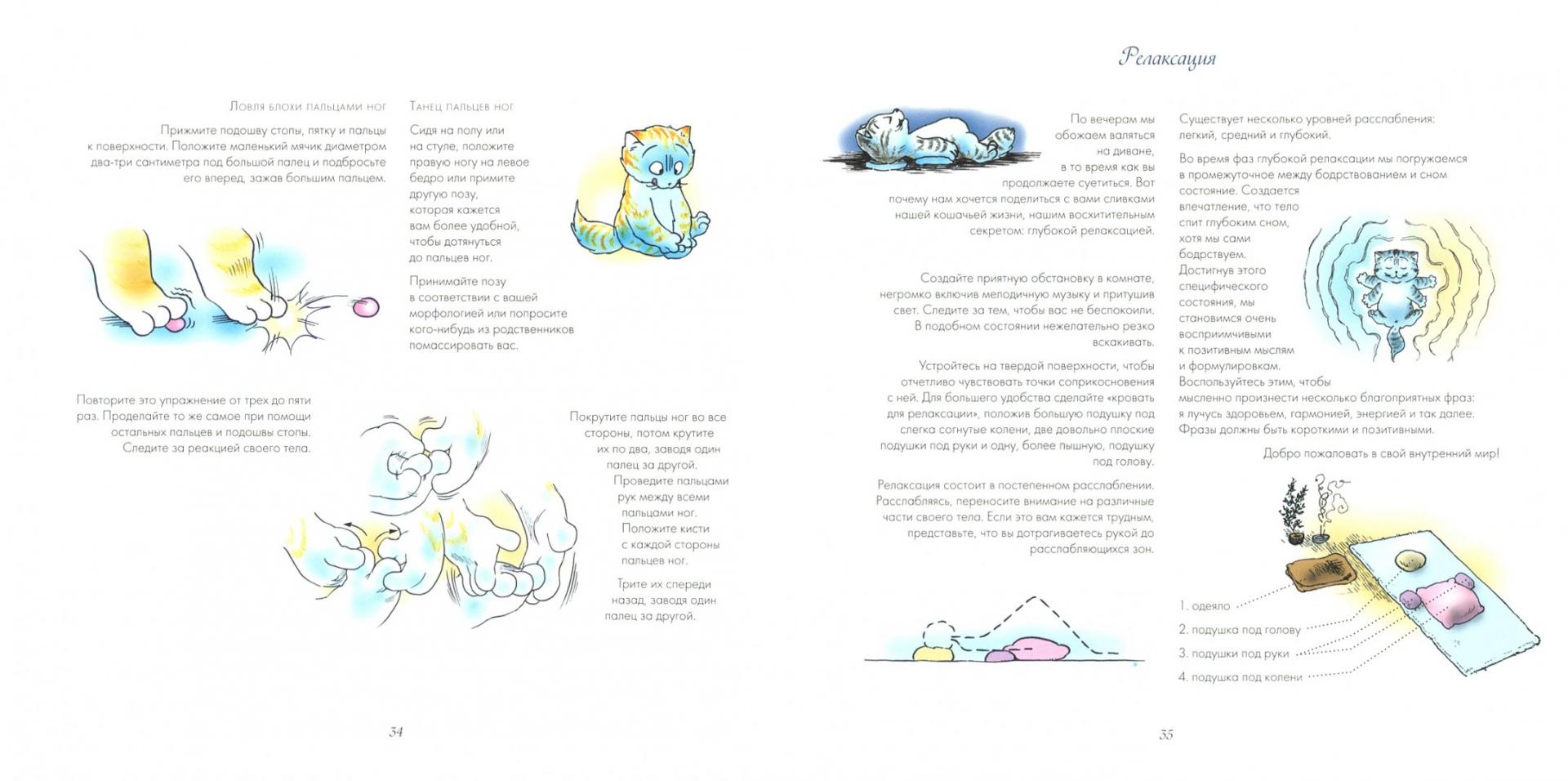 Иллюстрация 1 из 29 для Как достичь блаженства (руководство для котов и их хозяев) - Годен, Годен | Лабиринт - книги. Источник: Лабиринт