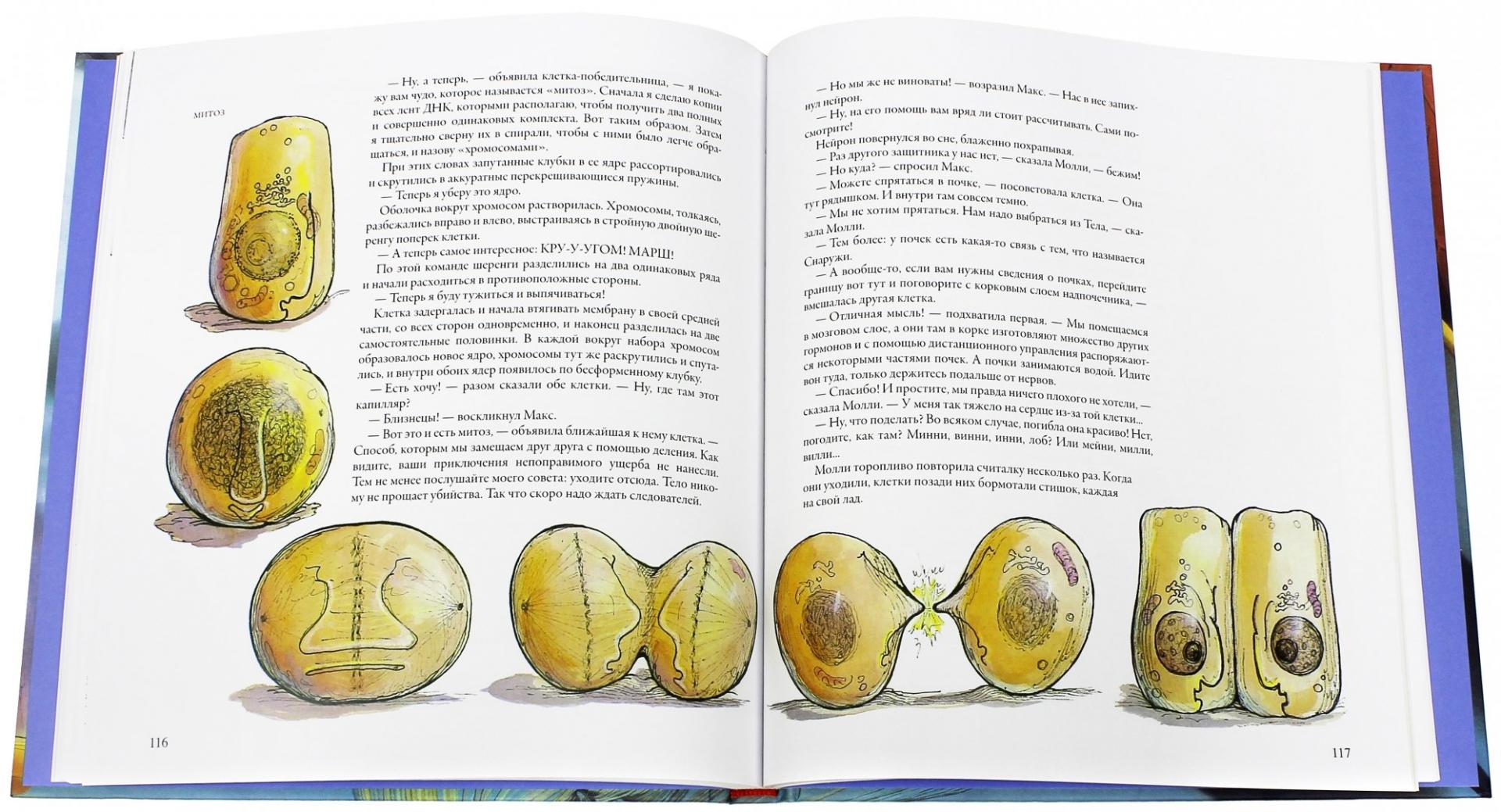 Иллюстрация 5 из 60 для Тайны анатомии - Кэрол Доннер | Лабиринт - книги. Источник: Лабиринт