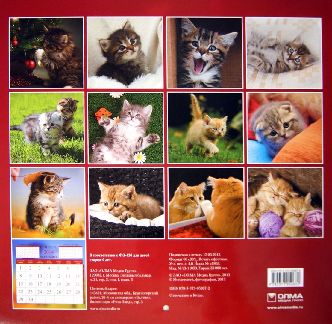 Иллюстрация 1 из 3 для Календарь 2014 "Котята" | Лабиринт - сувениры. Источник: Лабиринт
