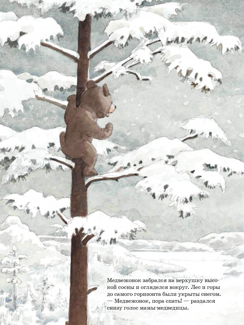 Иллюстрация 5 из 18 для Ложись спать, медвежонок! - Ян Могенсен | Лабиринт - книги. Источник: Лабиринт