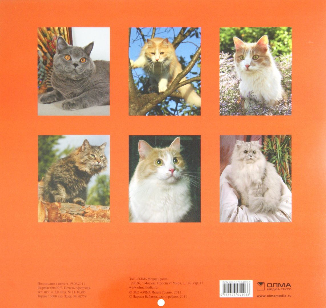Иллюстрация 1 из 2 для Календарь 2012 "Кошки" | Лабиринт - сувениры. Источник: Лабиринт