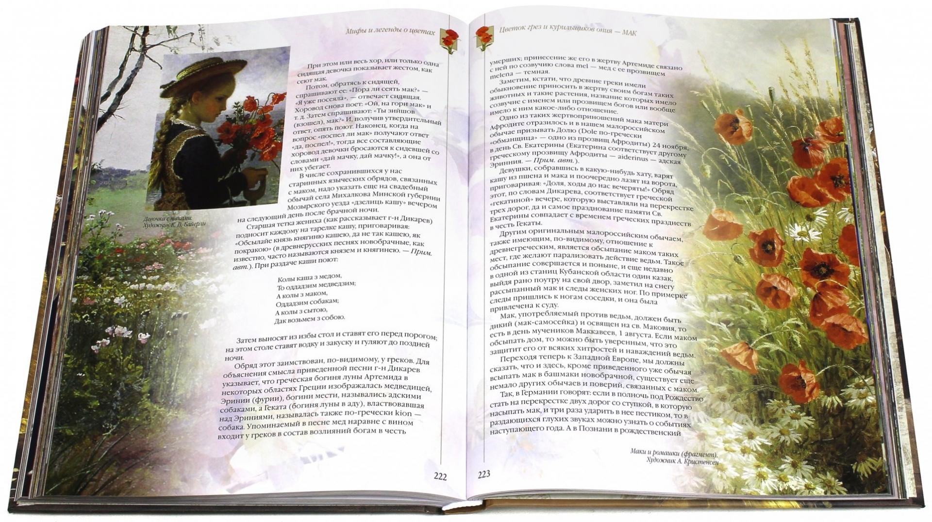Иллюстрация 2 из 44 для Мифы и легенды о цветах - Николай Золотницкий | Лабиринт - книги. Источник: Лабиринт