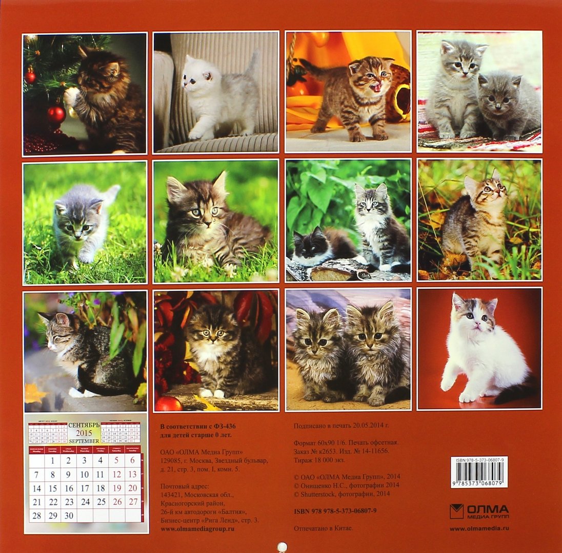 Иллюстрация 1 из 4 для Календарь 2015 "Котята" | Лабиринт - сувениры. Источник: Лабиринт
