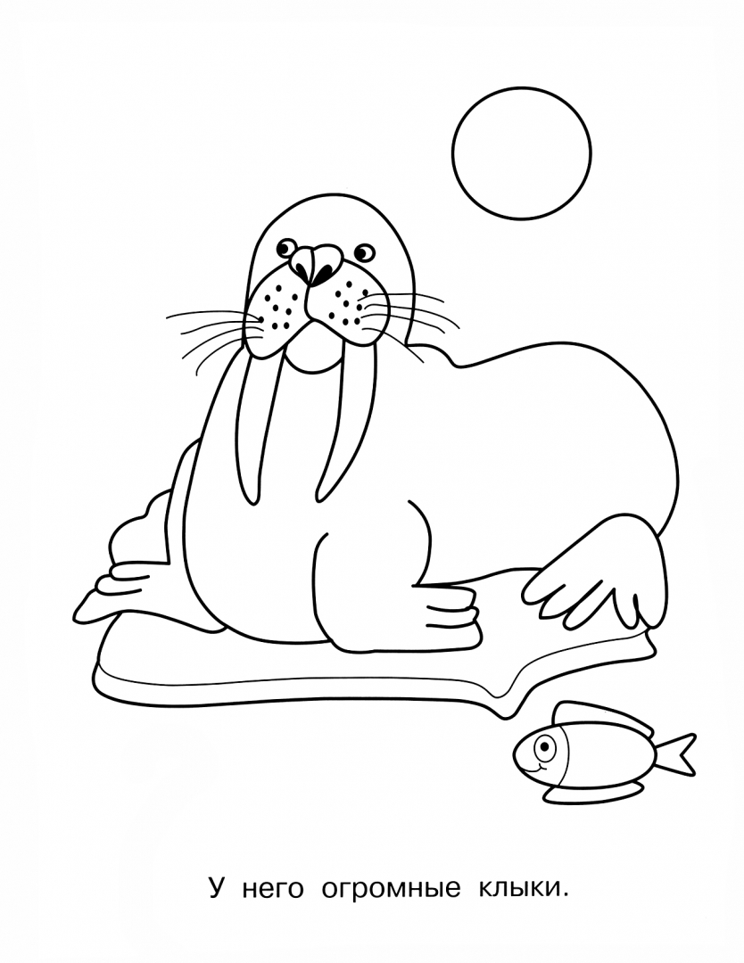 Иллюстрация 2 из 11 для На Северном и Южном полюсах. Пингвиненок | Лабиринт - книги. Источник: Лабиринт