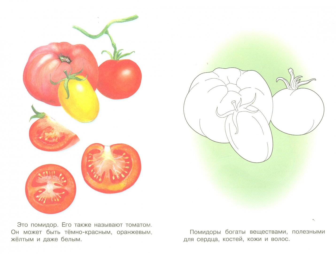 Иллюстрация 1 из 18 для Раскраска. Раскрашиваем и учимся. Овощи | Лабиринт - книги. Источник: Лабиринт