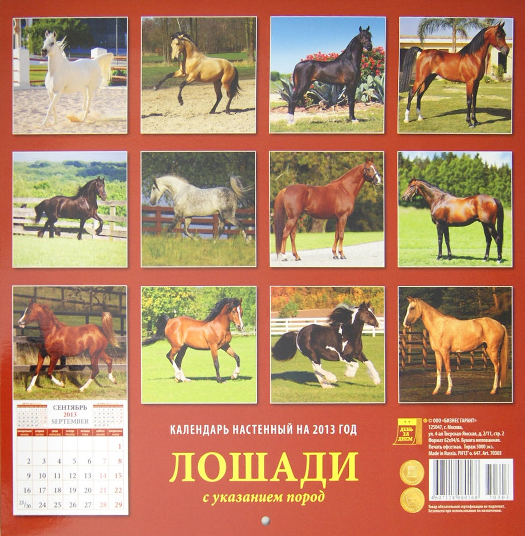 Иллюстрация 1 из 5 для Календарь 2013 "Лошади" (70303) | Лабиринт - сувениры. Источник: Лабиринт