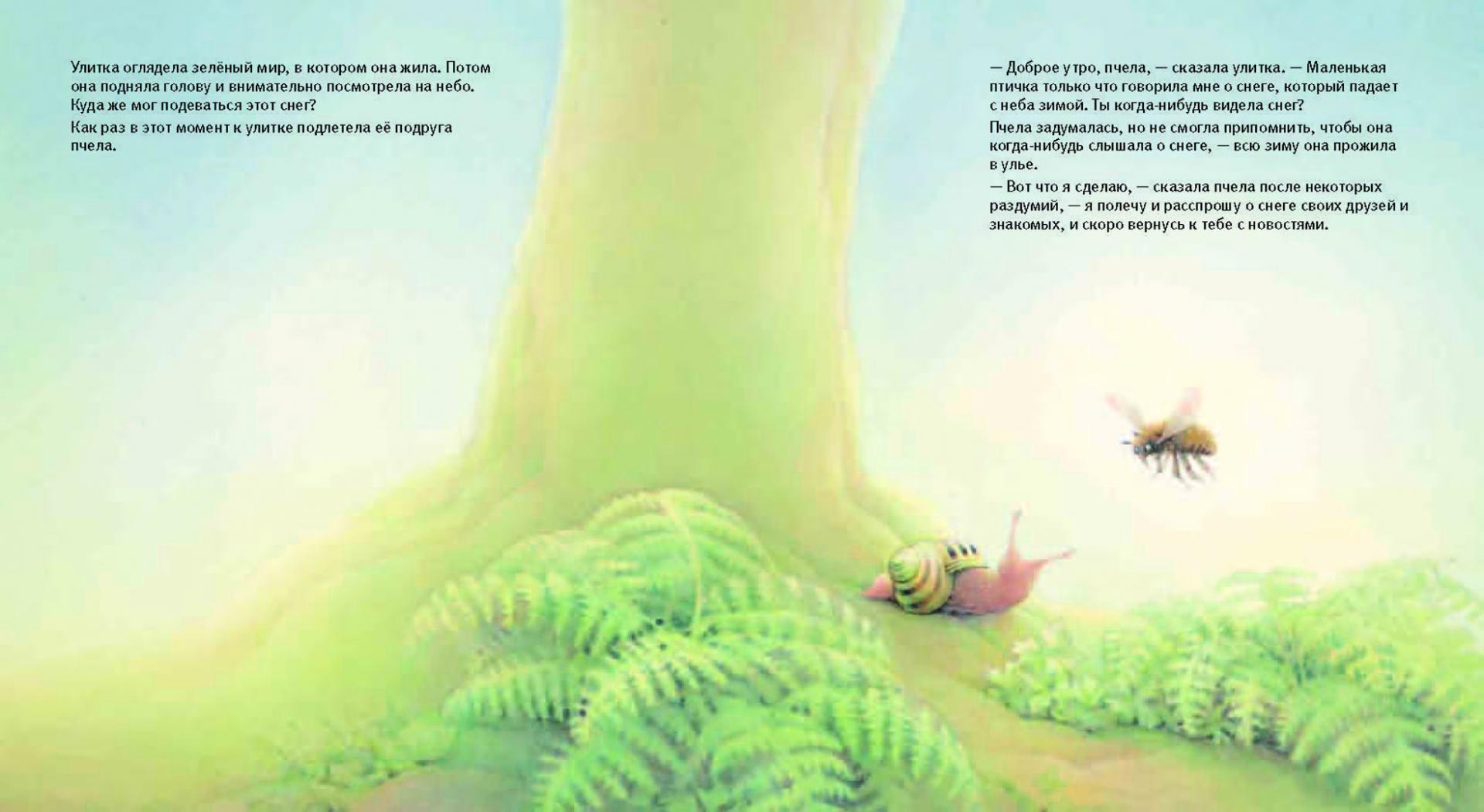 Иллюстрация 28 из 28 для Улитка, пчела и лягушка ищут снег (иллюстрации Люка Купманса) - Люк Купманс | Лабиринт - книги. Источник: Лабиринт