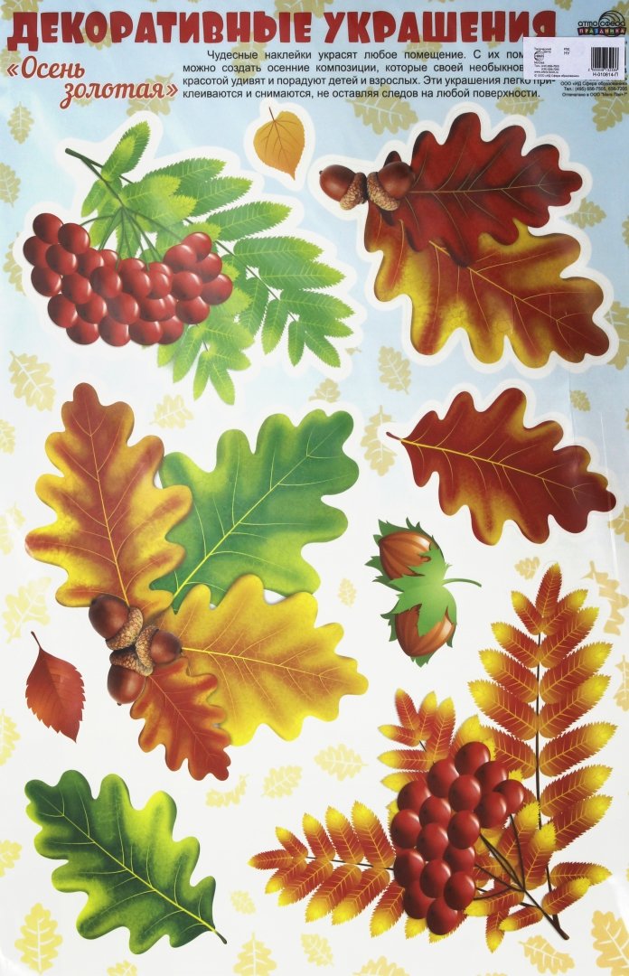 Иллюстрация 1 из 5 для Декоративные украшения-наклейки Золотая осень. Листья рябиновые | Лабиринт - игрушки. Источник: Лабиринт